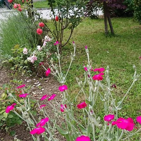 Casa de hóspedes Mimi *