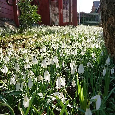 Gasthof Mimi