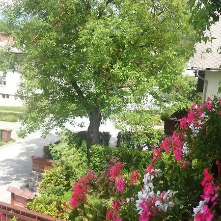Mimi Guest house Bled