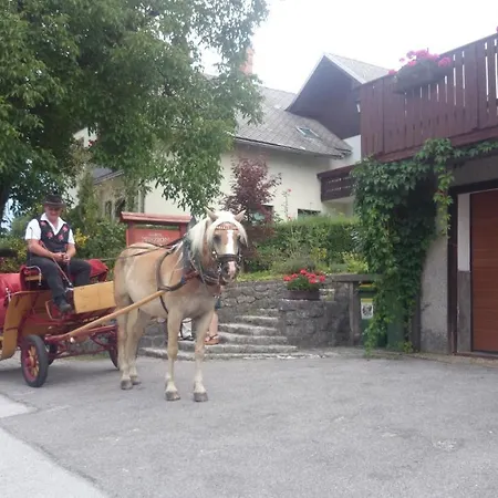 Casa de hóspedes Mimi Bled