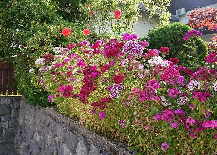 Maison d'hôtes Mimi *