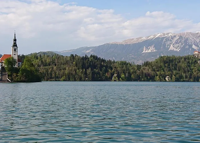 Mimi Maison d'hôtes Bled